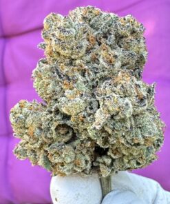 Oreo Blizzy (Oreo Blizzard) THCA flower
