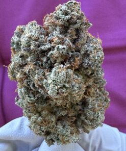 White Truffle OG THCA flower