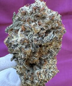 Glitter Bomb THCA flower