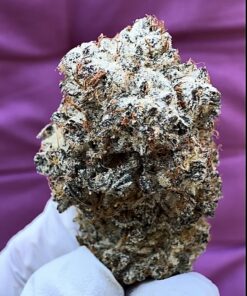 Gelato Wedding Cake THCA flower