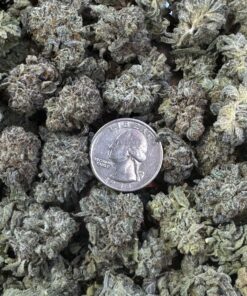 THCA Flower - Smalls